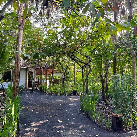 El Campito Lodge อายัมเป ภายนอก รูปภาพ