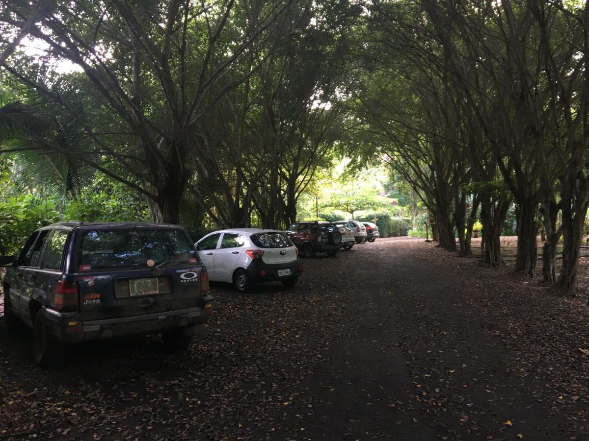El Campito Lodge อายัมเป ภายนอก รูปภาพ