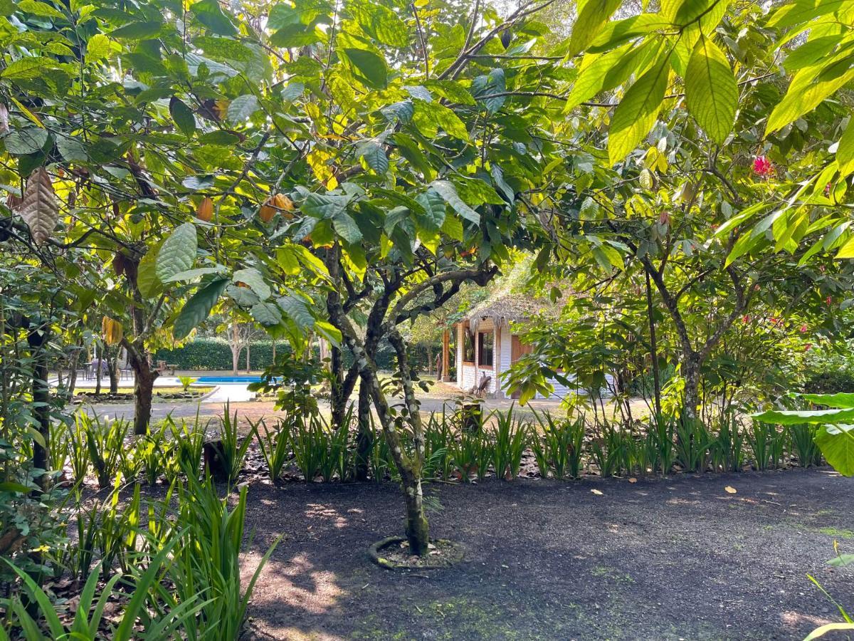 El Campito Lodge อายัมเป ภายนอก รูปภาพ
