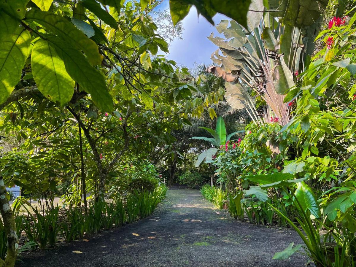 El Campito Lodge อายัมเป ภายนอก รูปภาพ