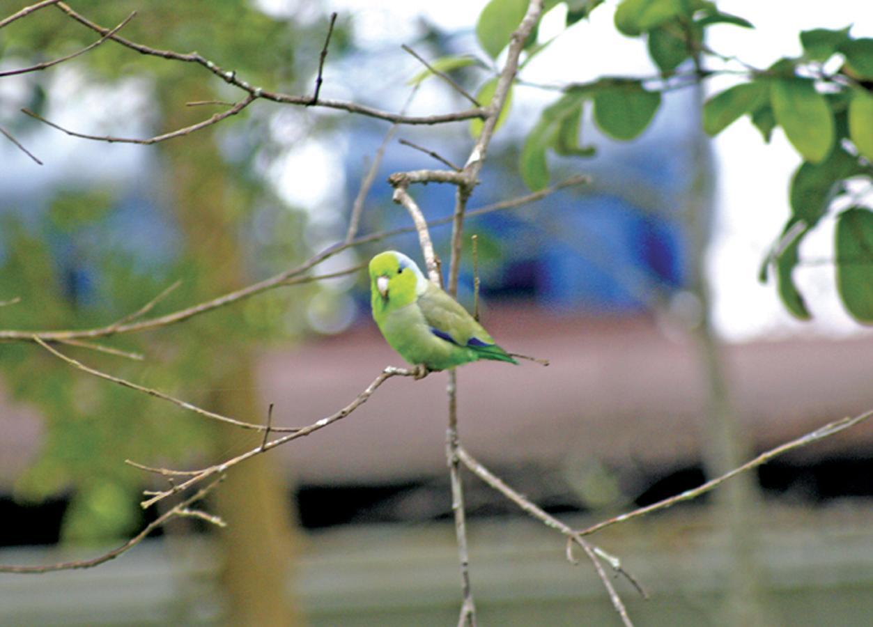 El Campito Lodge อายัมเป ภายนอก รูปภาพ