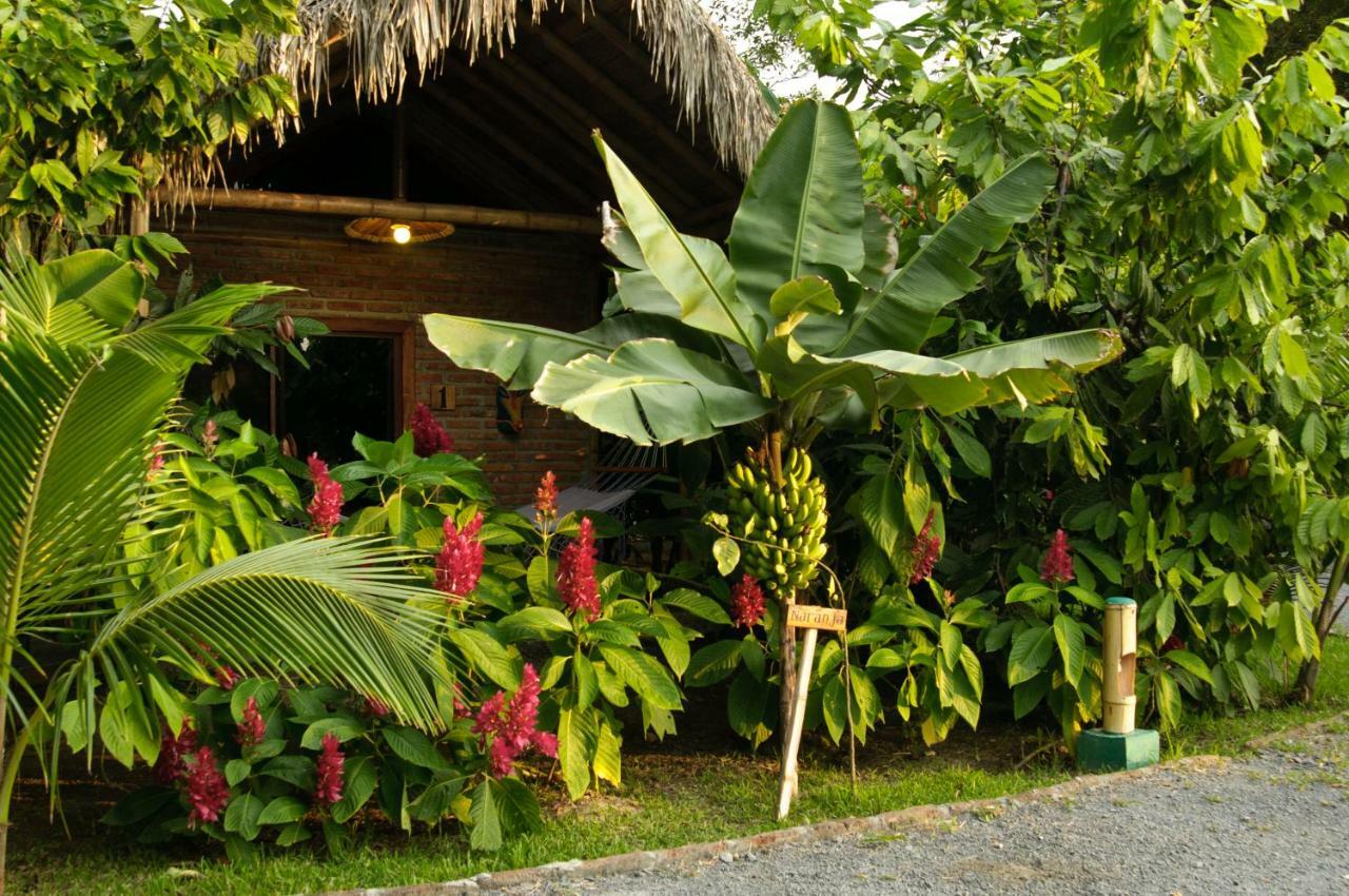 El Campito Lodge อายัมเป ภายนอก รูปภาพ