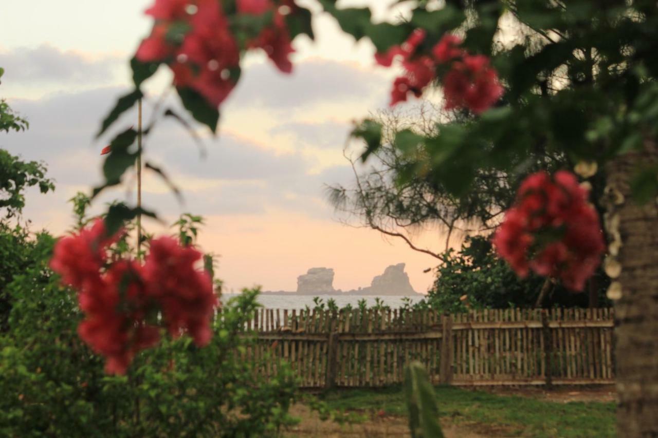 El Campito Lodge อายัมเป ห้อง รูปภาพ